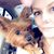 Angela Meadows's profile image