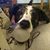 Sandy Strother-Becker's profile image