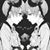 Mitzutani Tetzuhiro's profile image
