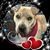 Kristie Bailey's profile image