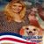 SueEllen Kendall's profile image