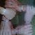 Lois Basham's profile image