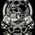 Daryl Silkwood's profile image