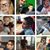 Brandon C.Williams's profile image