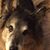Sylvia Stanley's profile image