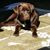 Betty Bailey's profile image