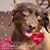 Maria Tagliarino's profile image