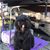 Debbie Bevel Potter's profile image