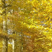 Petra Bay's profile image