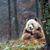 Tanya Williams's profile image