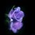Sherry Fast's profile image