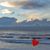 Lisha Krier's profile image