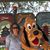 Andrea Petrillo's profile image