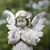 Judy Hammond's profile image
