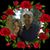 Patti Lynn Mears's profile image