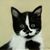 Lynda K Denney's profile image