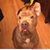 Jannette Rodriguez's profile image