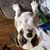 David Kiser's profile image
