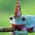 Debby Fogle's profile image