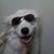 Cinde Roye's profile image