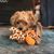 Lora Yehle's profile image