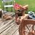 Carolyn B White's profile image