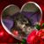 Leslie Hickerson McCord's profile image