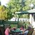 Carol Ann AmosBarnett's profile image