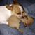 Jeanne Lindsey's profile image