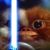 Craig BigBoy's profile image