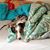 Ann Ward's profile image