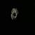 Daniel Elliott Bond's profile image