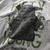 Jennifer Dryburgh's profile image