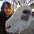 Mark Williams's profile image
