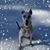 Mark Capek's profile image