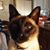 Karen Aninos Bidwell's profile image