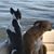 Maria Anderson's profile image