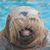 Buck Thrasher's profile image