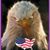 Dina Suwanski's profile image