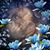 Sheila Zeppenfeld's profile image