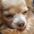 Sabrina Morrison's profile image
