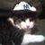 Sandy Frego's profile image