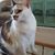 Johnette Beaudry's profile image