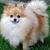 Cornelia Sanders's profile image