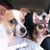 Joyce Joyner's profile image