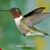 Dawn Clark's profile image