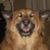 Victoria Tucker's profile image