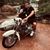 Alexandre Addolorato's profile image