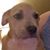 Charlene M Stephen's profile image