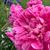 Anna Roberts's profile image
